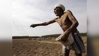 Fertiliser ministry seeks Rs 15,000 cr subsidy for July-Sept