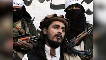 American troops are safer after Taliban leader's killing: US lawmaker