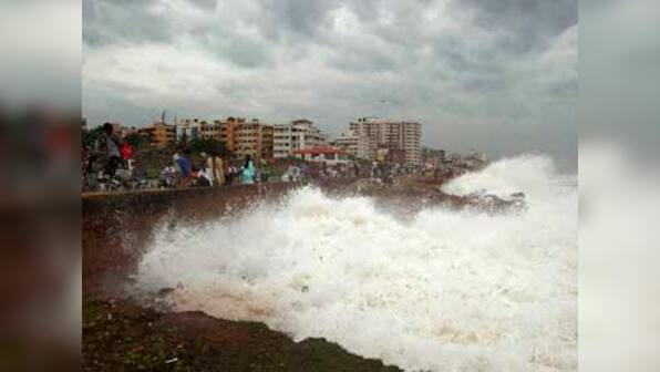 Cyclone Phailin: Odisha loses 26 lakh trees, plans to plant 12 cr