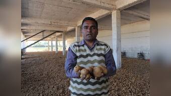 As India sheds tears over onions, it's potato politics in Odisha 