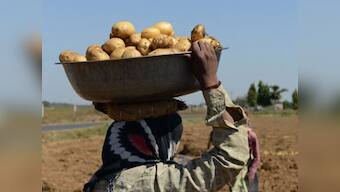 WPI inflation rises to over 4-year high of 5.77% in June on costlier vegetables, fuel; potato price hike at peak of 99%