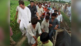 Rahul-flation is back: It's the price we pay for dynasty