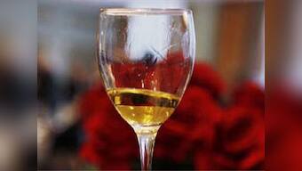 Cheers: 3,700 year old wine cellar unearthed in Israel