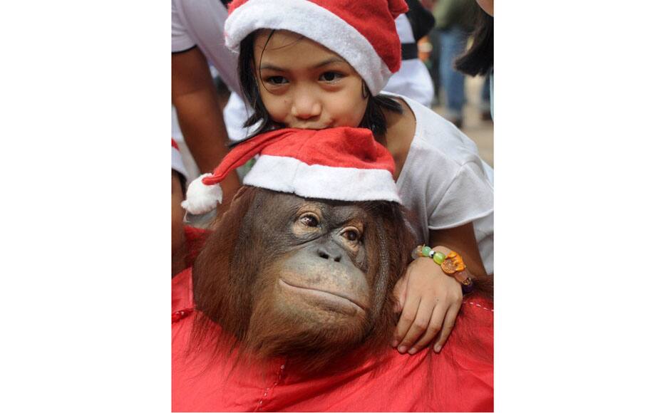  Tangco said that survivors of Super Typhoon Haiyan that ravaged the central Philippines on November 8, will get free entrance to the zoo from December 16-18 upon presentation of their identity documents. AFP photo