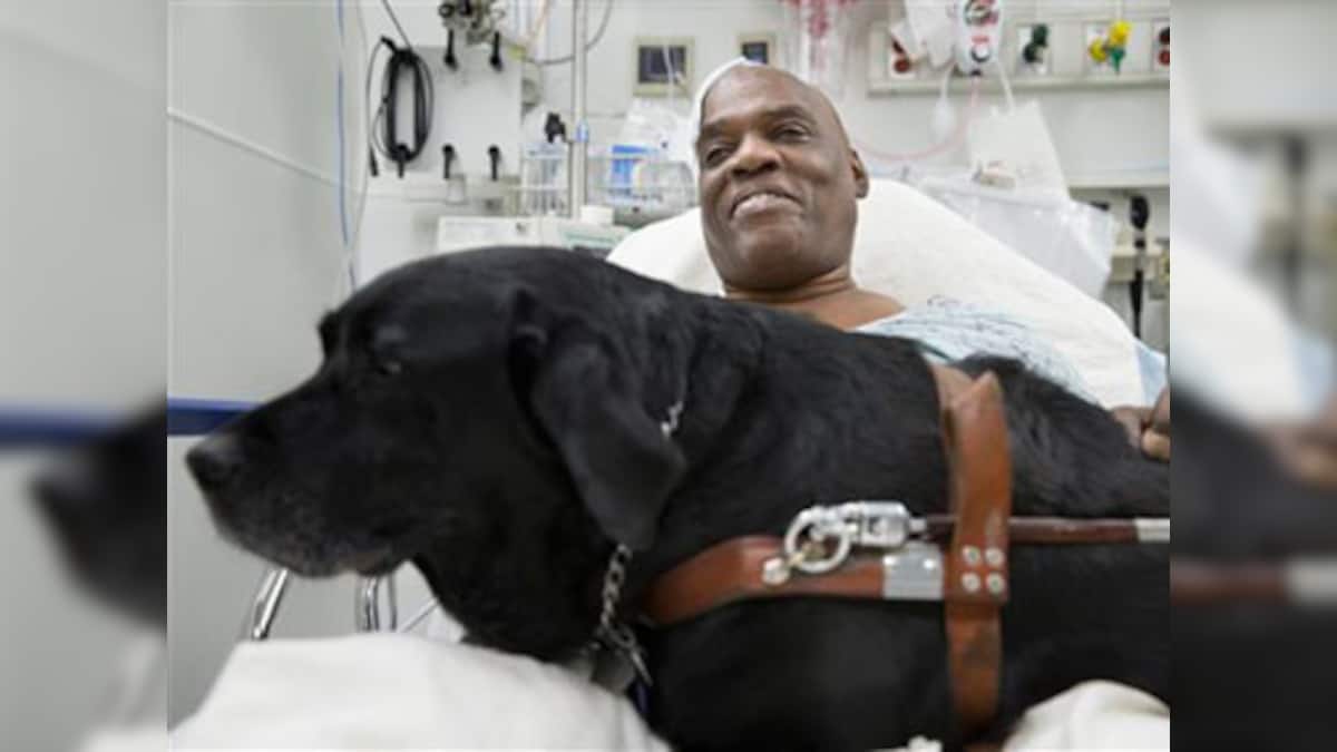 Donors help blind man keep dog who jumped on rail tracks to save him ...