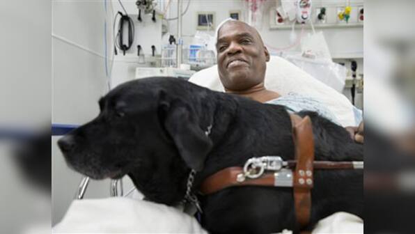 Donors help blind man keep dog who jumped on rail tracks to save him