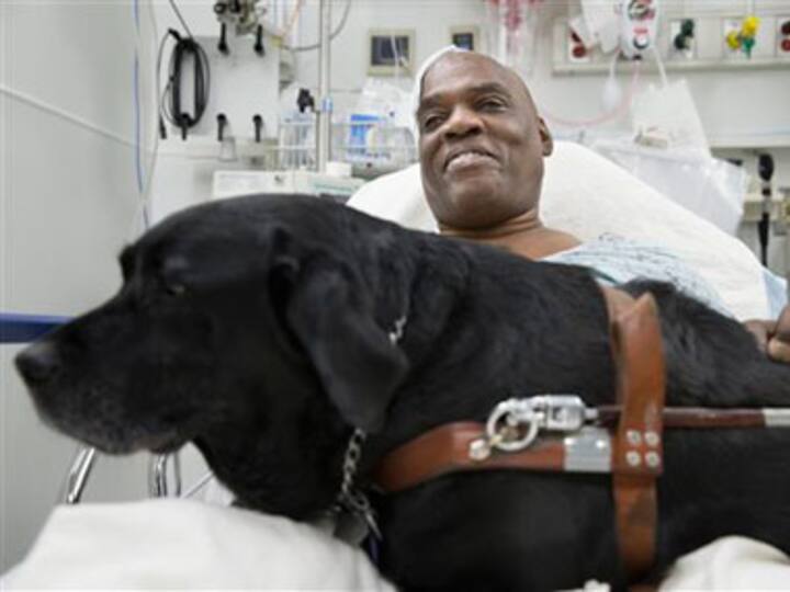 Donors help blind man keep dog who jumped on rail tracks to save him