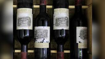 Moderate alcohol consumption good for immune system, says study