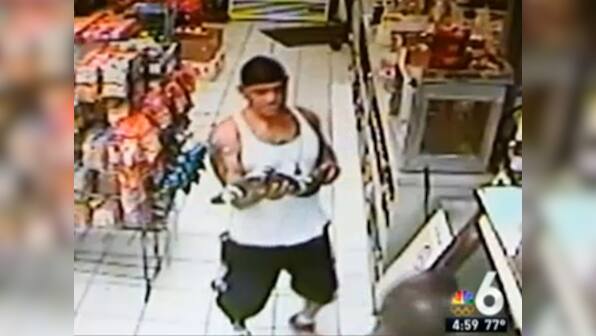 Bizarre: Man tries trading live alligator for pack of beer!