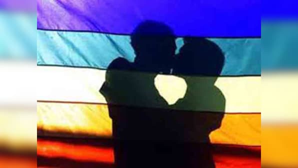 377 verdict: Gay sex against nature? Look around, get a life