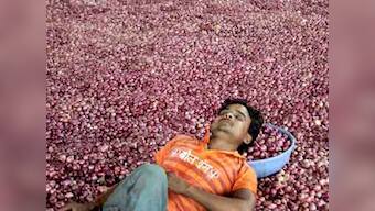 Govt cuts onion export floor price by more than half to $150/tn