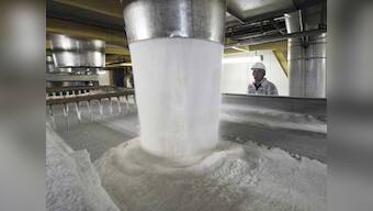 Bajaj Hindusthan Sugar to sell 17.51% stake in group's firm Lalitpur Power Generation Company