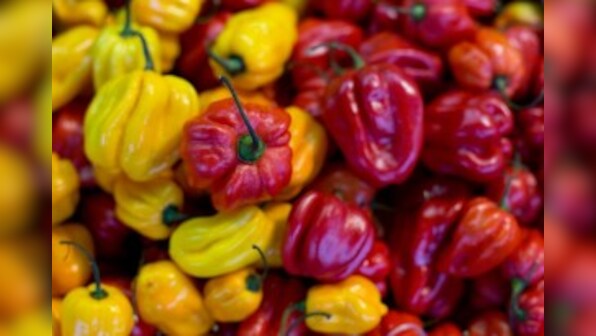 Weight Loss Resolution: Nutritionists approve of high protein 'fad' diets