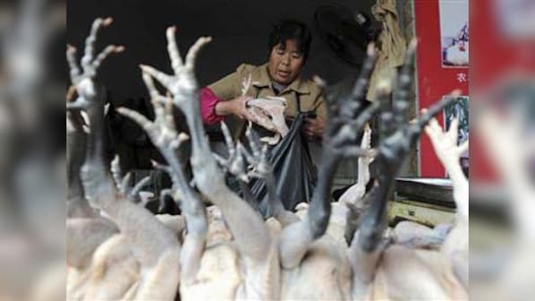 China: Three infected with bird flu virus, one dead