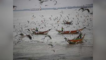 Study shows India's 10 famous bird habitats are in serious danger