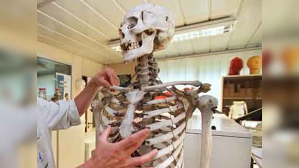 MIT scientists develop technique to stimulate new bone growth 