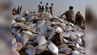 Sri Lanka frees 20 Indian fishermen, further 30 ordered