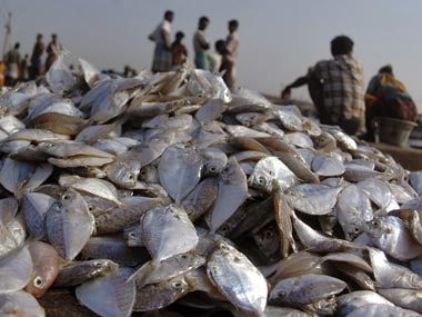 Sri Lanka frees 20 Indian fishermen, further 30 ordered Sri Lanka frees 20 Indian fishermen, further 30 ordered
