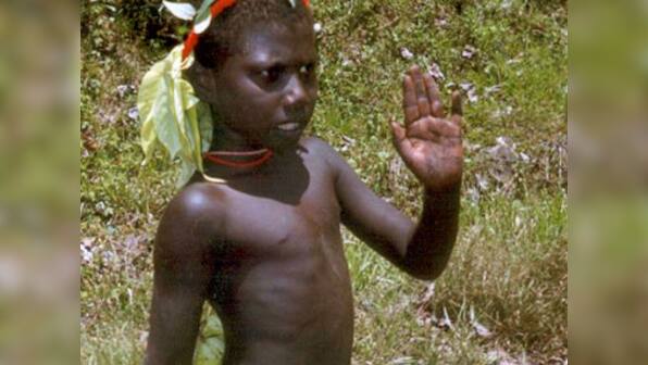 Eight kidnapped Jarawa tribe girls rescued in Andaman