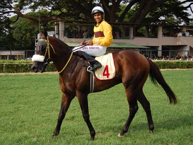 Indian Derby: Ramaswamy's Murioi has the look of a champion Indian Derby: Ramaswamy's Murioi has the look of a champion