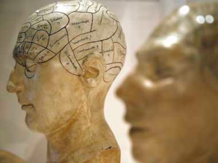 No Mars, Venus: Men, women have same brain, argues neuroscientist
