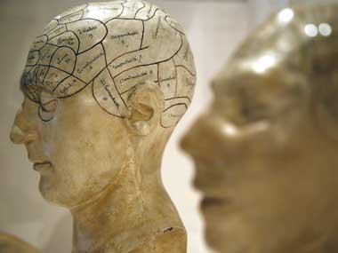 Too much information make brains of elderly slow Too much information make brains of elderly slow