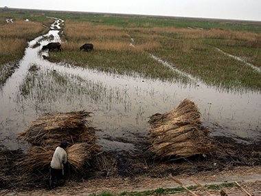 China's water crisis deepens as wetlands shrink 9% China's water crisis deepens as wetlands shrink 9%