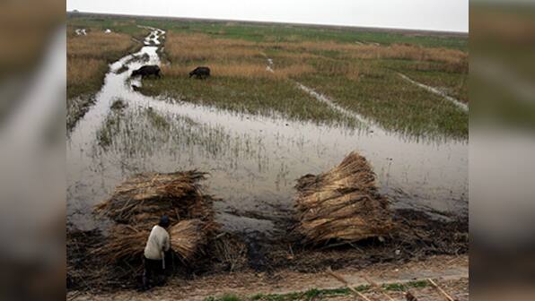 China's water crisis deepens as wetlands shrink 9%