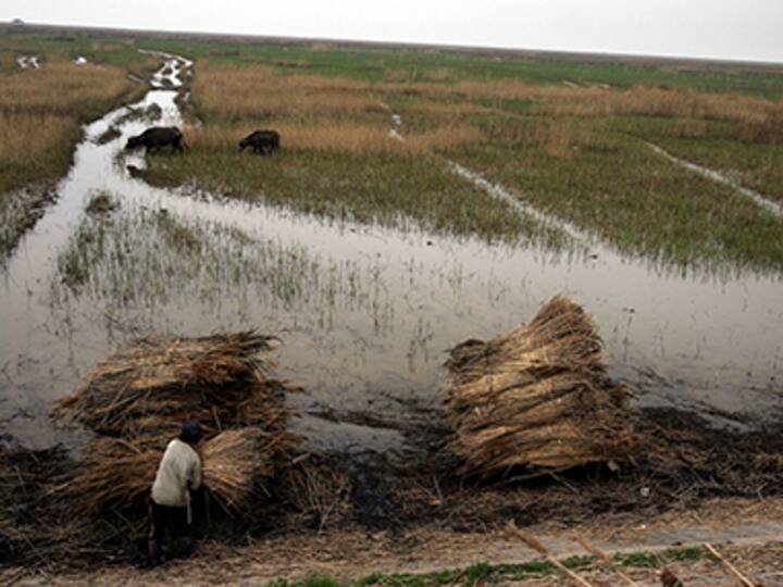 China's water crisis deepens as wetlands shrink 9%