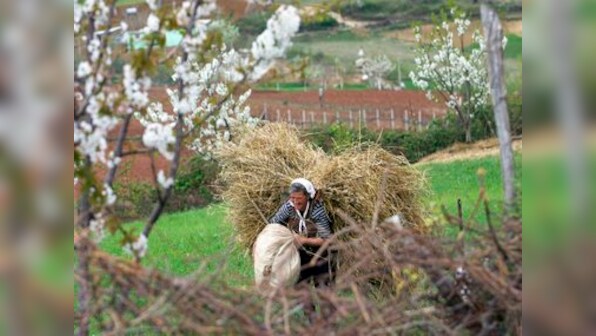 NCDEX to launch forward contracts in 7 new agri commodities soon
