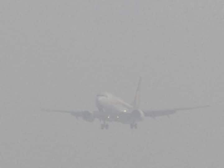Dense fog disrupts life in Punjab; flights to Chandigarh cancelled 