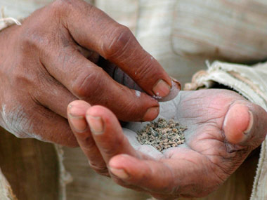 Pan Parag masala under lens for tax evasion worth Rs 20 crore Pan Parag masala under lens for tax evasion worth Rs 20 crore