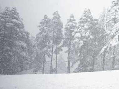 Cold wave continues in J&K, Leh deep freezes at -19 degrees Cold wave continues in J&K, Leh deep freezes at -19 degrees