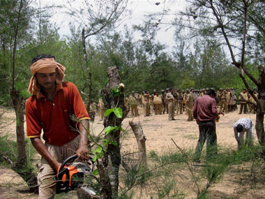 Posco not to cut trees till Odisha gives forest clearance: NGT Posco not to cut trees till Odisha gives forest clearance: NGT