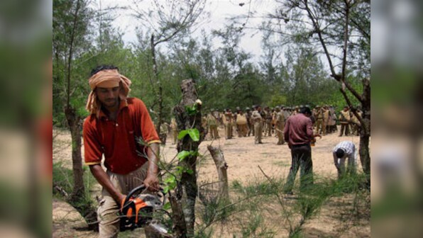 Posco not to cut trees till Odisha gives forest clearance: NGT