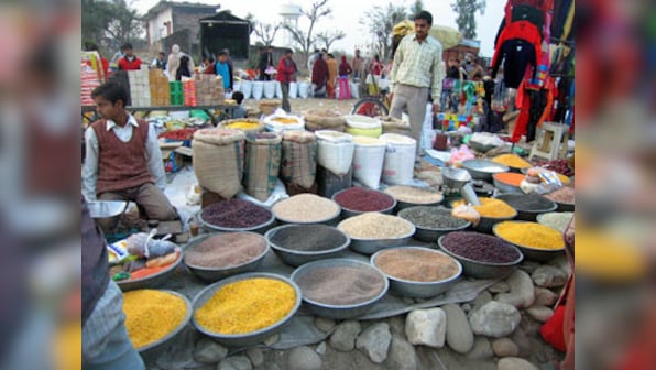 Ancient Vedic ritual to invoke blessings on Food Security Act