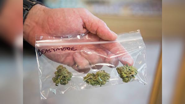 Uruguay's plan to sell weed at pharmacies for recreational use slammed