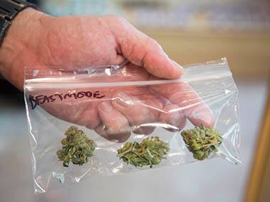 Alaska reporter reveals she owns a marijuana business on live TV