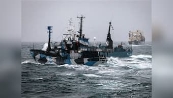 New Zealand summons Japan envoy in row over whaling ship