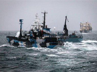 New Zealand summons Japan envoy in row over whaling ship New Zealand summons Japan envoy in row over whaling ship