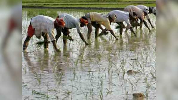 Govt announces service tax exemption for rice