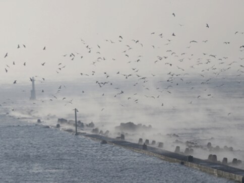 Tsunami delhi