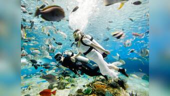 Couple set record after getting married 130 feet underwater