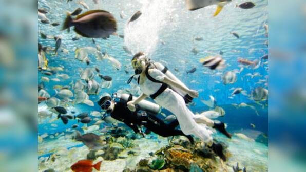 Couple set record after getting married 130 feet underwater