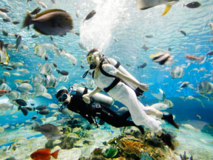 Couple set record after getting married 130 feet underwater