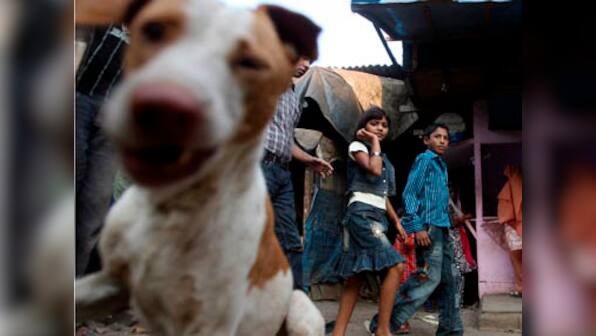 In Italy, if you adopt a stray dog, you get a tax break!