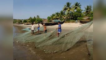 Why is the fish disappearing from Goa's plate?