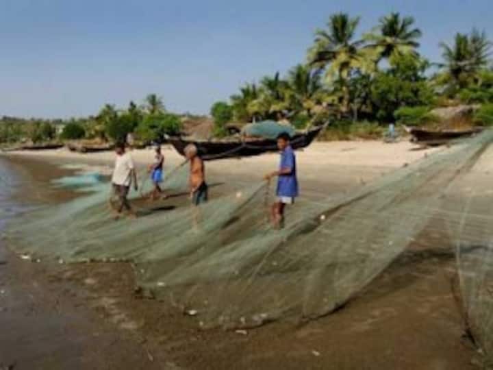 Why is the fish disappearing from Goa's plate?