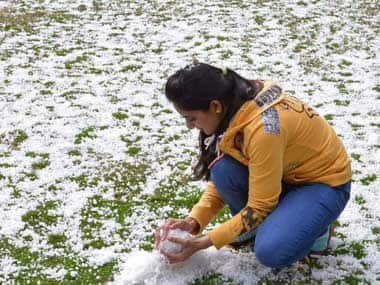 Hail and unseasonal rains are alleged to have destroyed crops worth crores. AFP