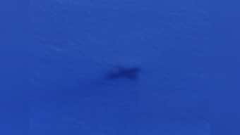 MH370 crashed in Bay of Bengal? Searchers dismiss theory 